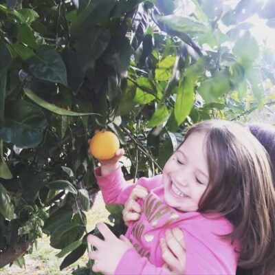 Little Girl Harvesting a Fruit